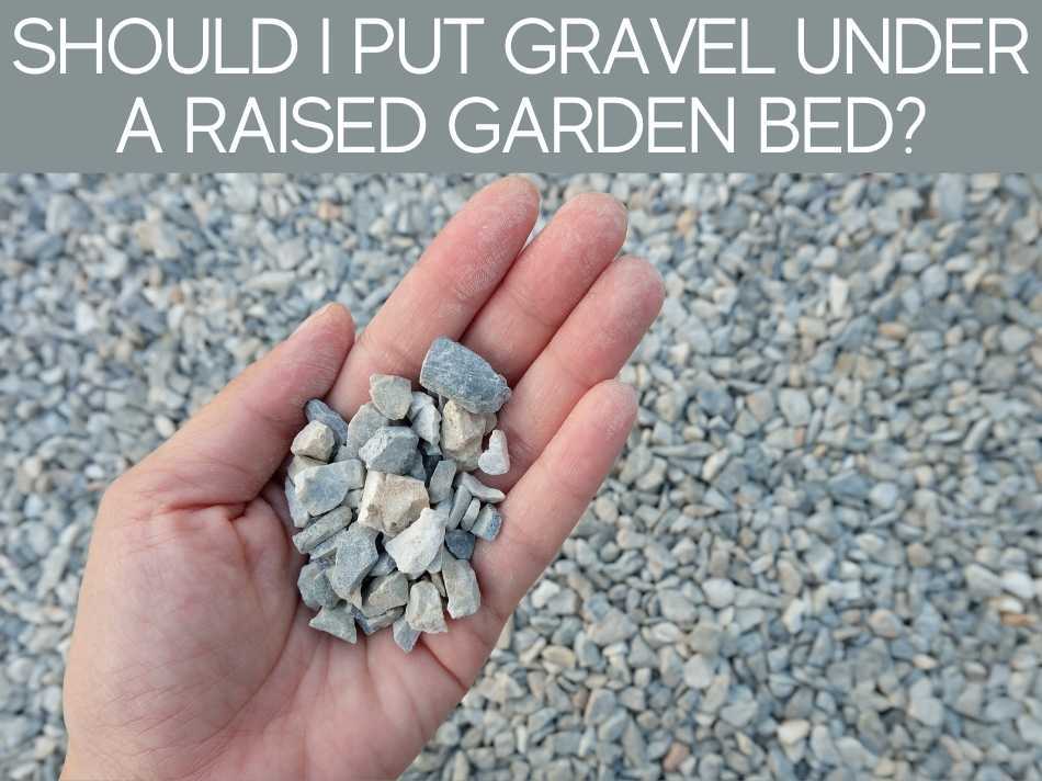 Should I Put Gravel Under A Raised Garden Bed?