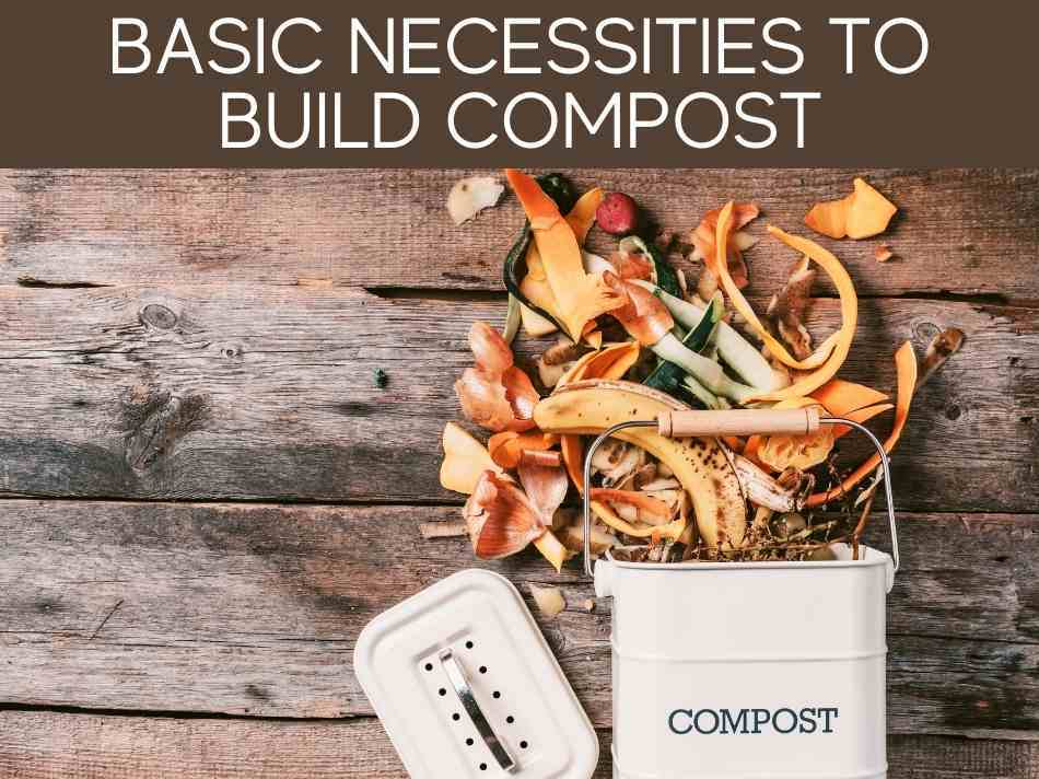 Basic Necessities To Build Compost