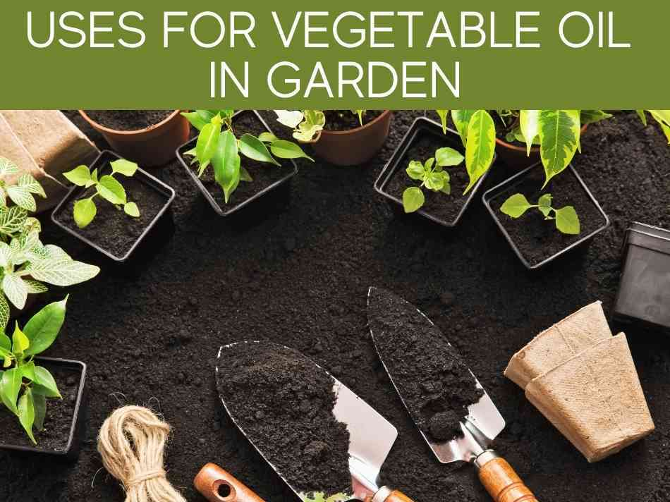 Uses For Vegetable Oil In Garden