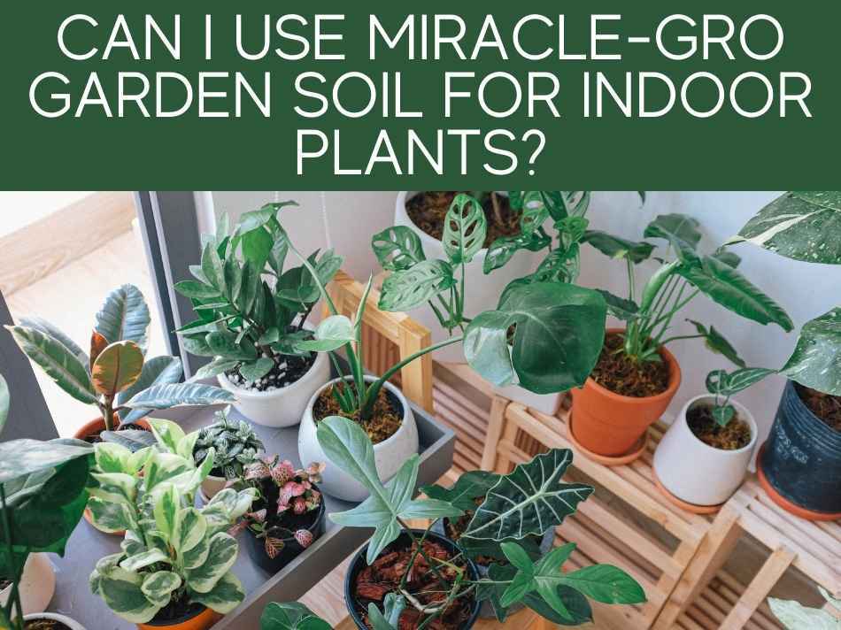 Can I Use Miracle-Gro Garden Soil For Indoor Plants?