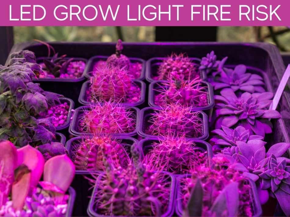 LED Grow Light Fire Risk