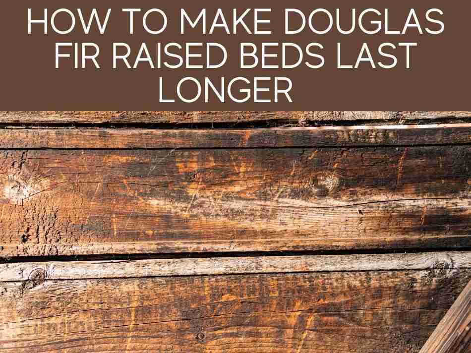 How To Make Douglas Fir Raised Beds Last Longer