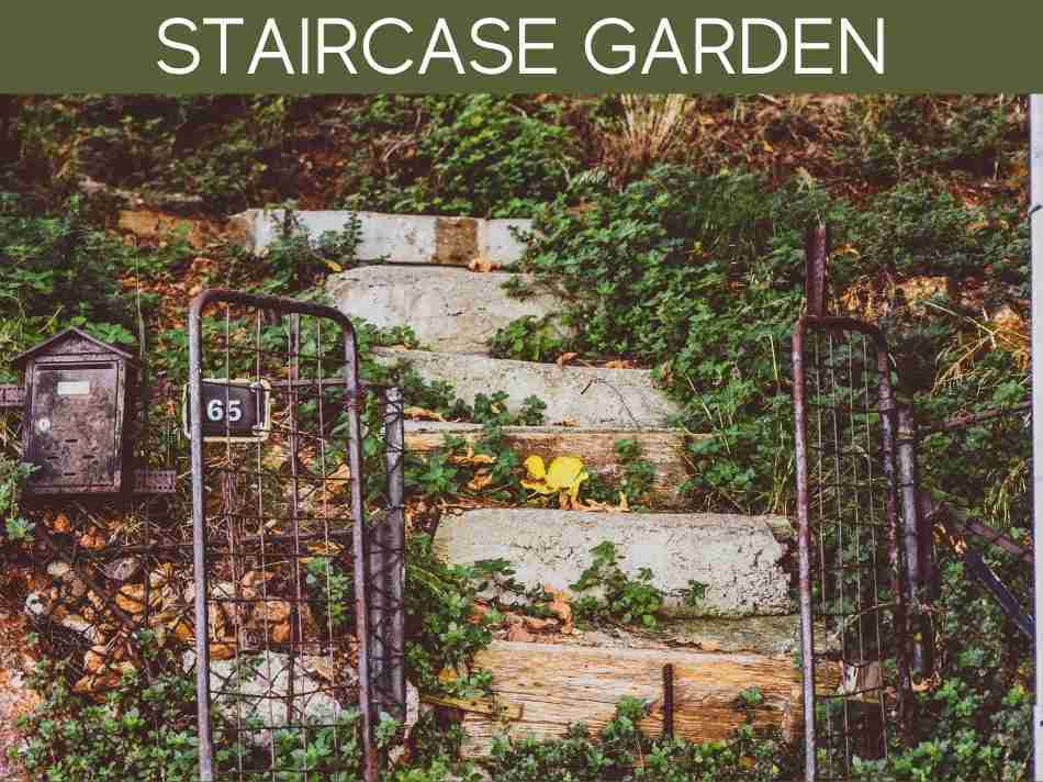 Staircase Garden