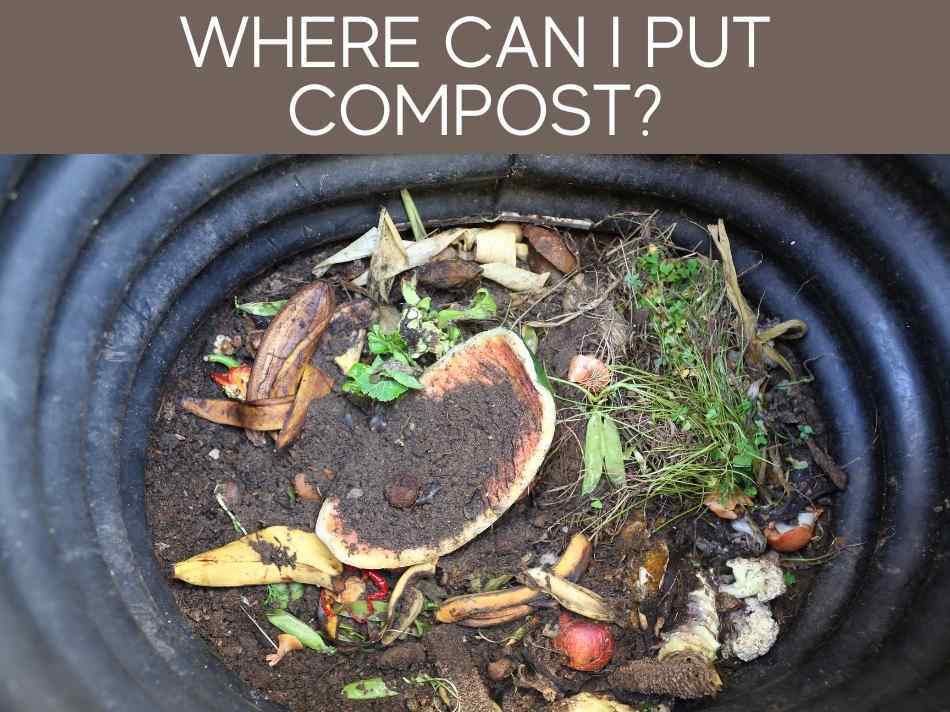 Where Can I Put Compost?