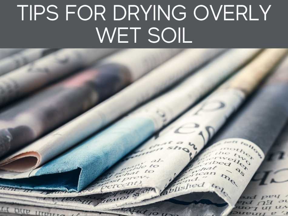 Tips For Drying Overly Wet Soil