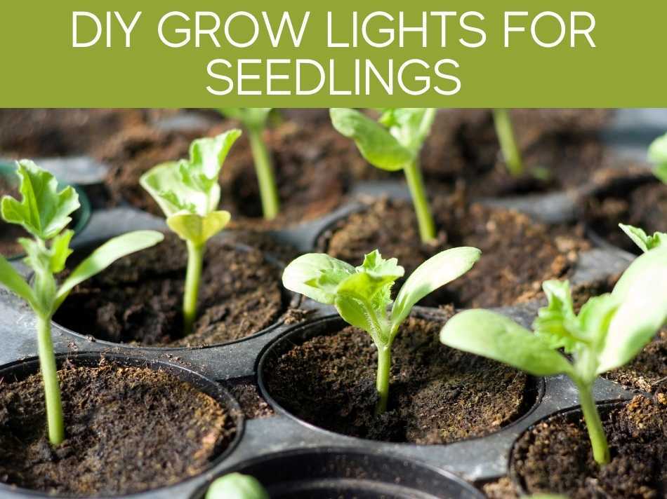 DIY Grow Lights For Seedlings