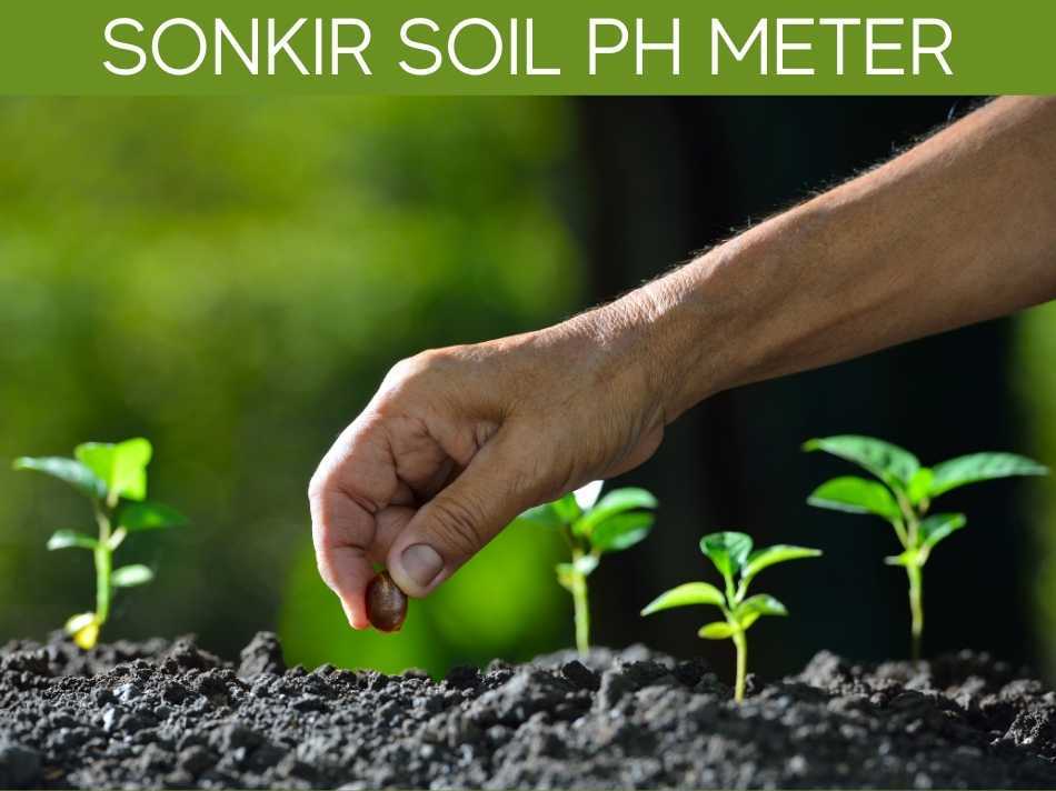 Sonkir Soil PH Meter