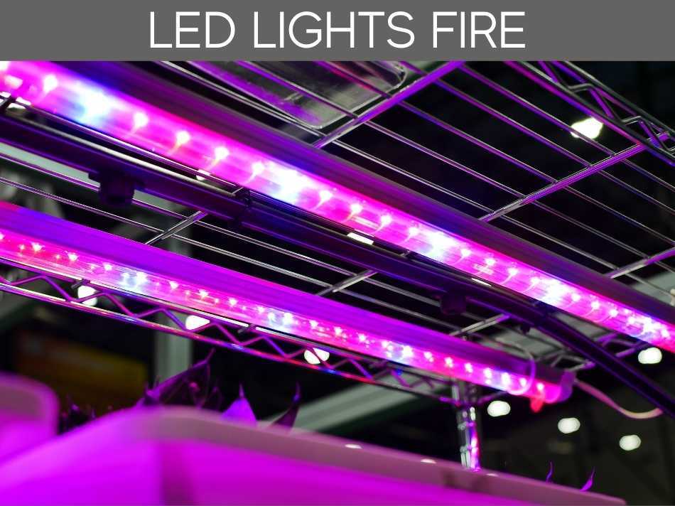 LED Lights Fire