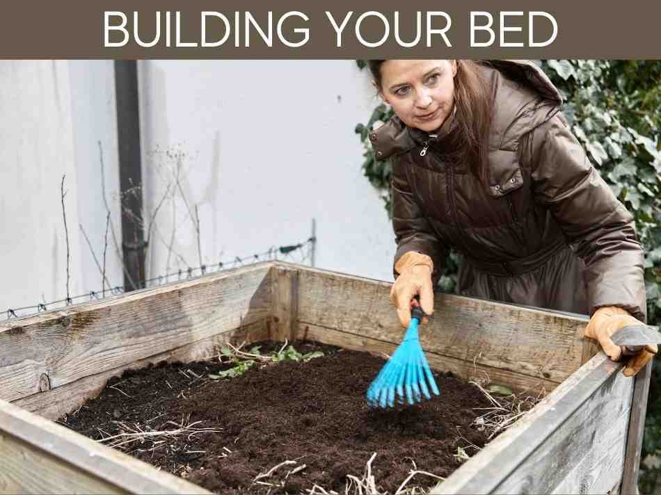 Building Your Bed