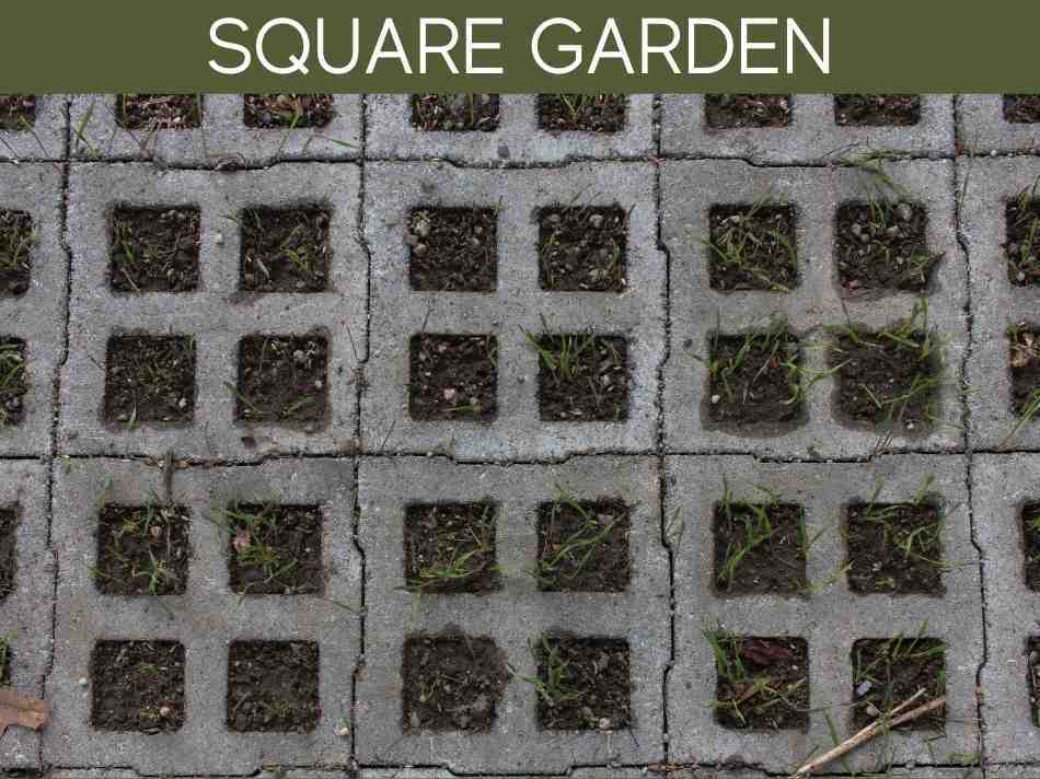 Square Garden