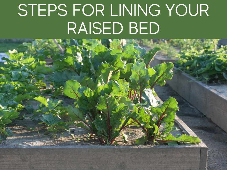 Steps For Lining Your Raised Bed