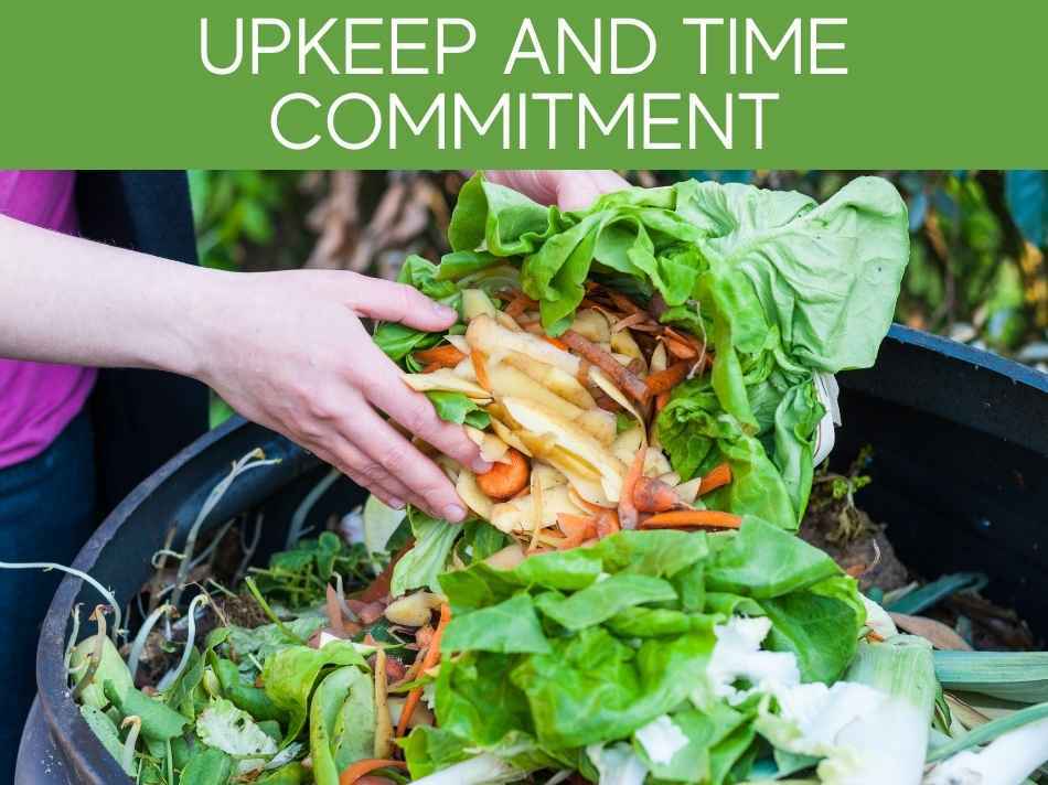 Upkeep And Time Commitment