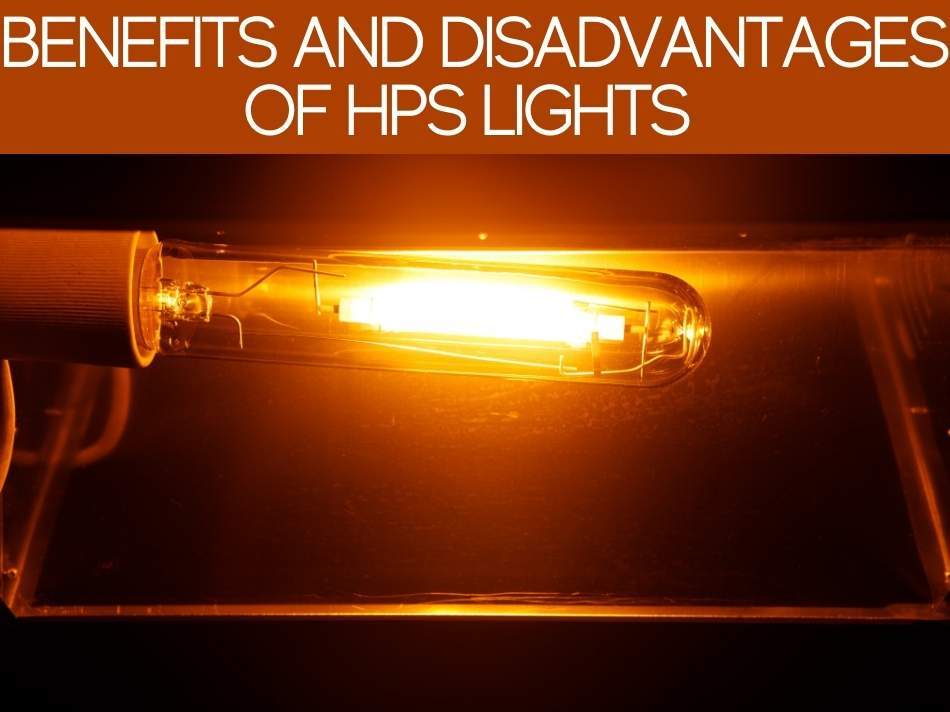 Benefits And Disadvantages Of HPS Lights
