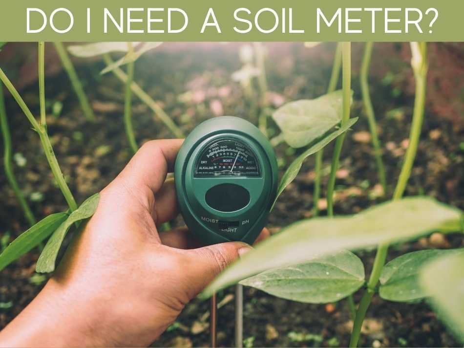 Do I Need A Soil Meter?