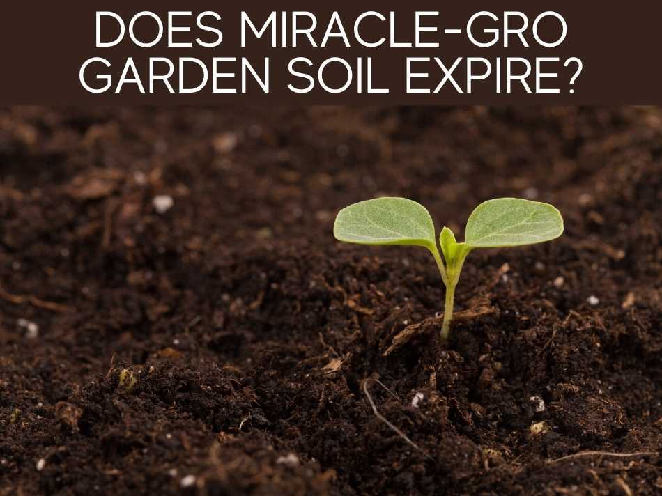 Does Miracle-Gro Garden Soil Expire?