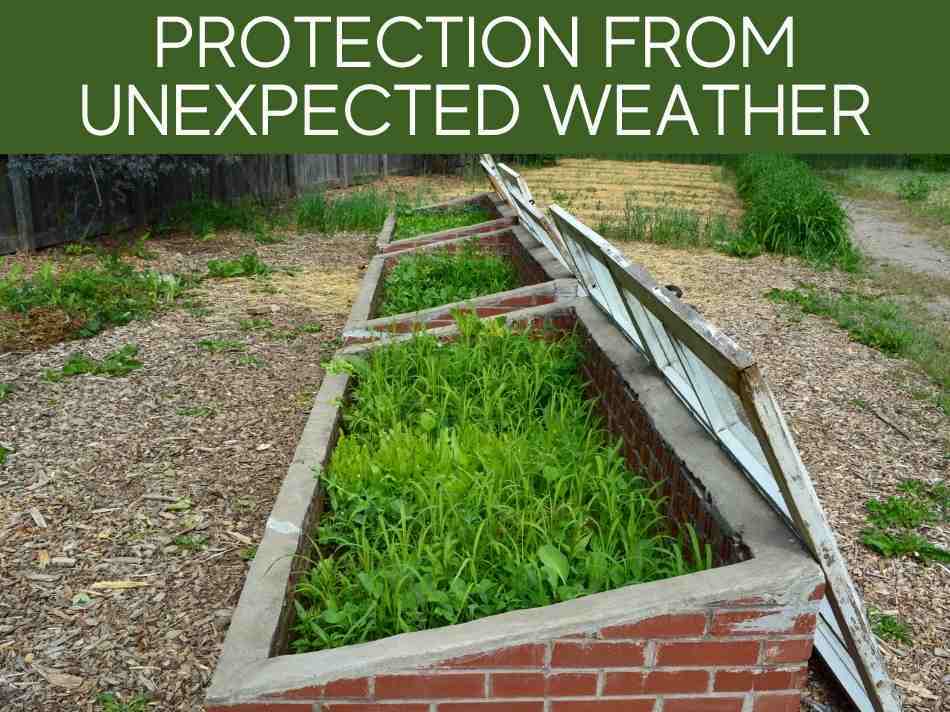 Protection From Unexpected Weather