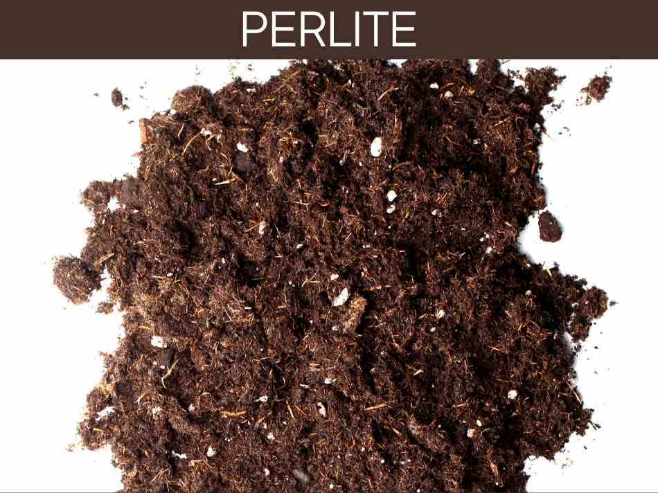 Perlite