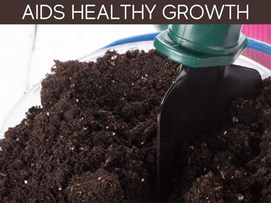 Aids Healthy Growth