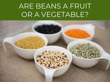 Are beans a fruit or a vegetable