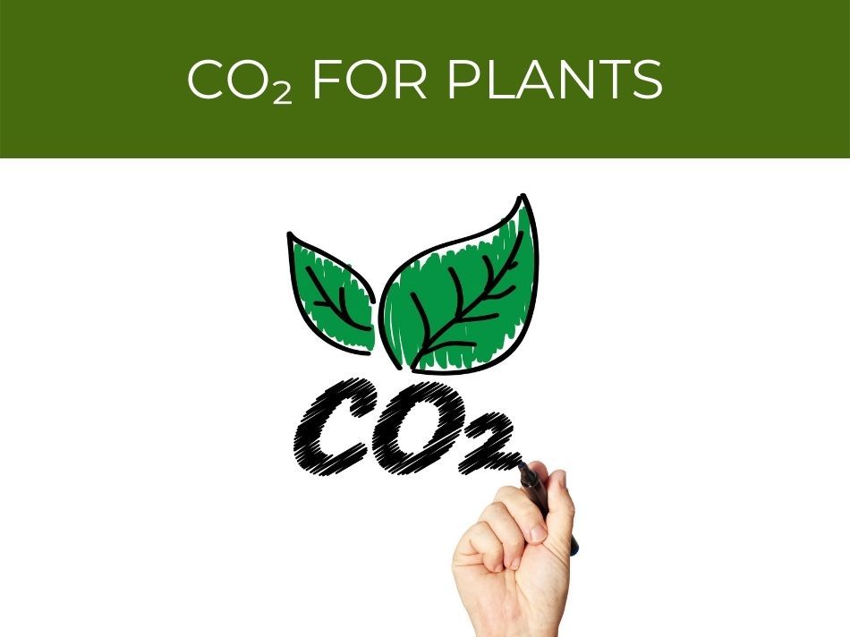 A hand drawing CO2 molecules beneath the phrase "CO2 for plants" with a green leaf icon above.