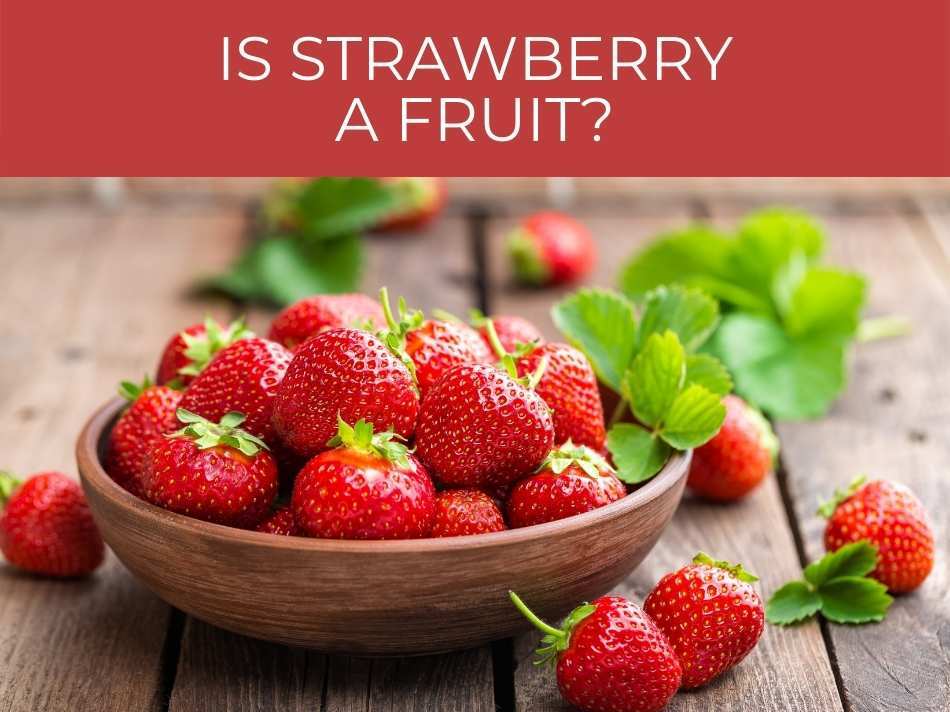 A bowl of fresh strawberries with the question "is strawberry a fruit?" displayed above.