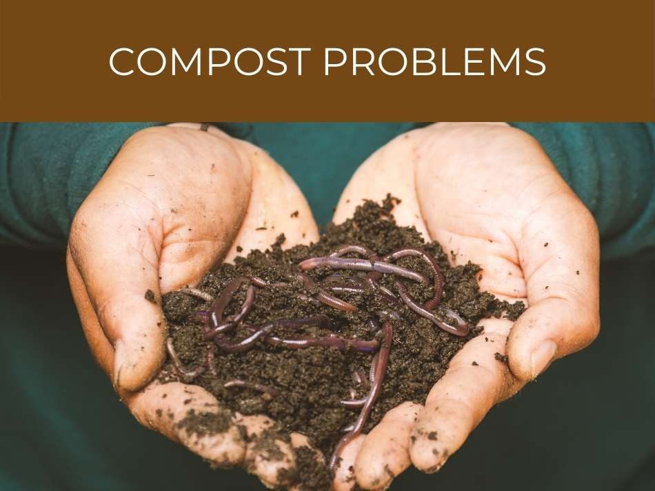 Hands holding soil with earthworms, indicating composting challenges in compost management.