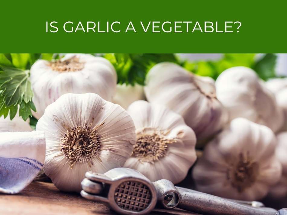 Whole garlic bulbs with a garlic press and fresh herbs in the background, posing the question "is garlic a vegetable?