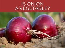 Is onion a vegetable