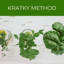 Kratky method