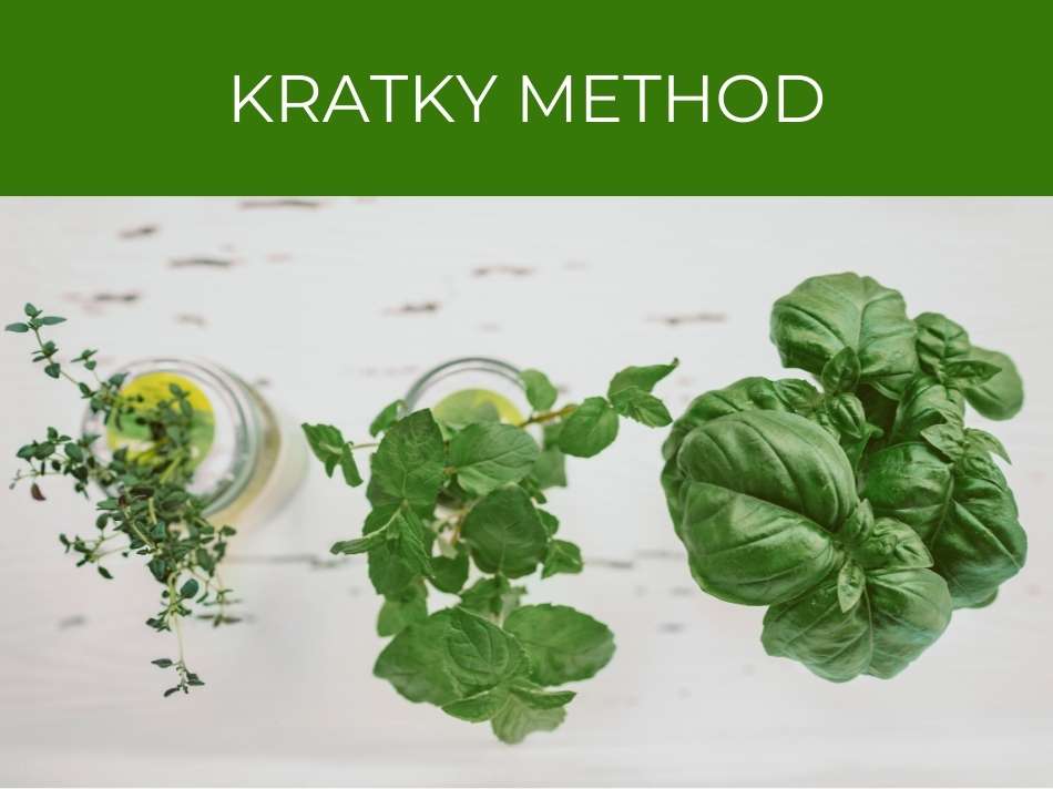 Kratky method