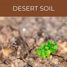 Desert soil