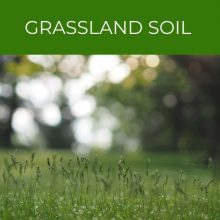 Grassland soil