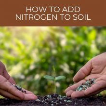 How to add nitrogen to soil