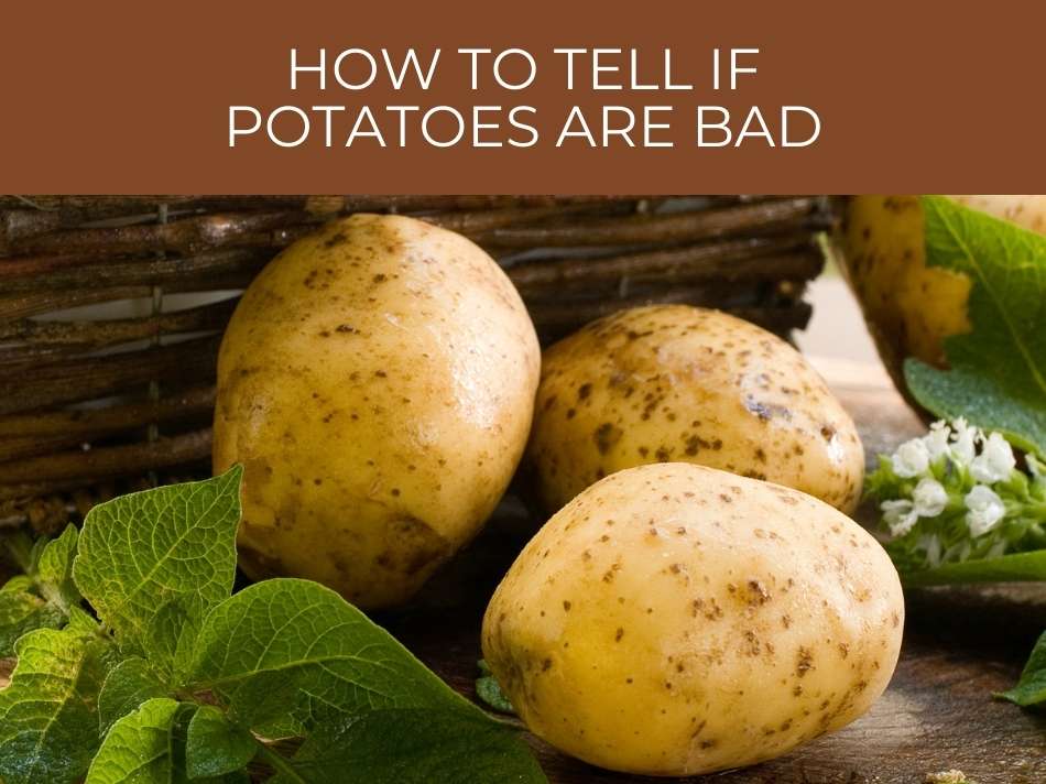 Fresh potatoes with text overlay "signs of bad potatoes.