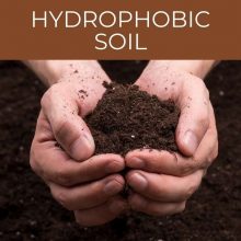 Hydrophobic Soil