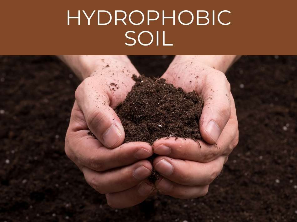 Hands holding a clump of water-repellent soil with the text "water repellent soil" above against a dark brown background.