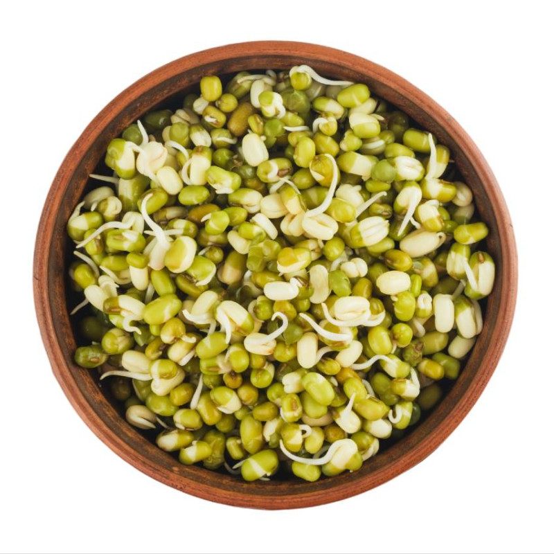 A wooden bowl filled with sprouted green mung beans, viewed from above on a white background, illustrating how to sprout mung beans.