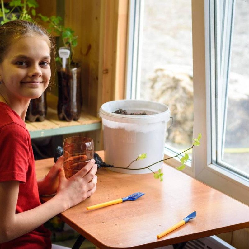 Young girl in a red shirt sitting at a table, transplanting seedlings into pots with gardening tools, smiling at the camera by a window.