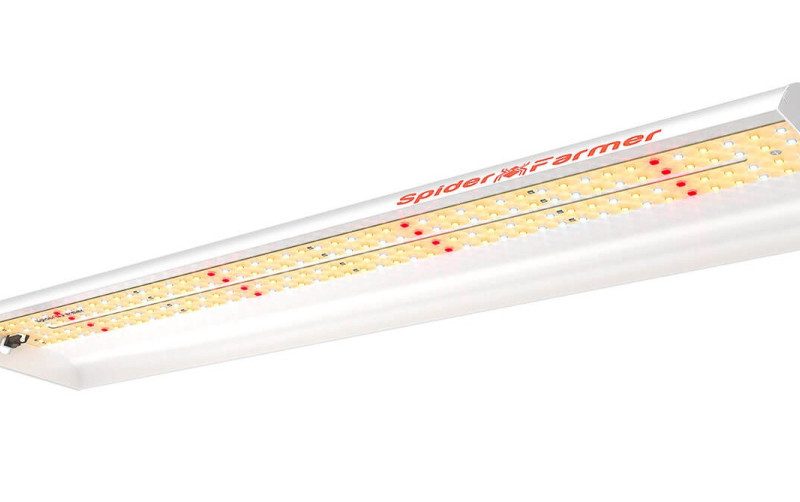 Led grow light by Spider Farmer, model SF300, featuring a long, slender design with multiple yellow and red light chips, housed in a silver casing.