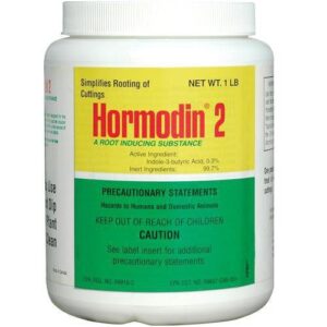 A container of hormodin 2 rooting hormone powder, with labeled precautions and ingredients.