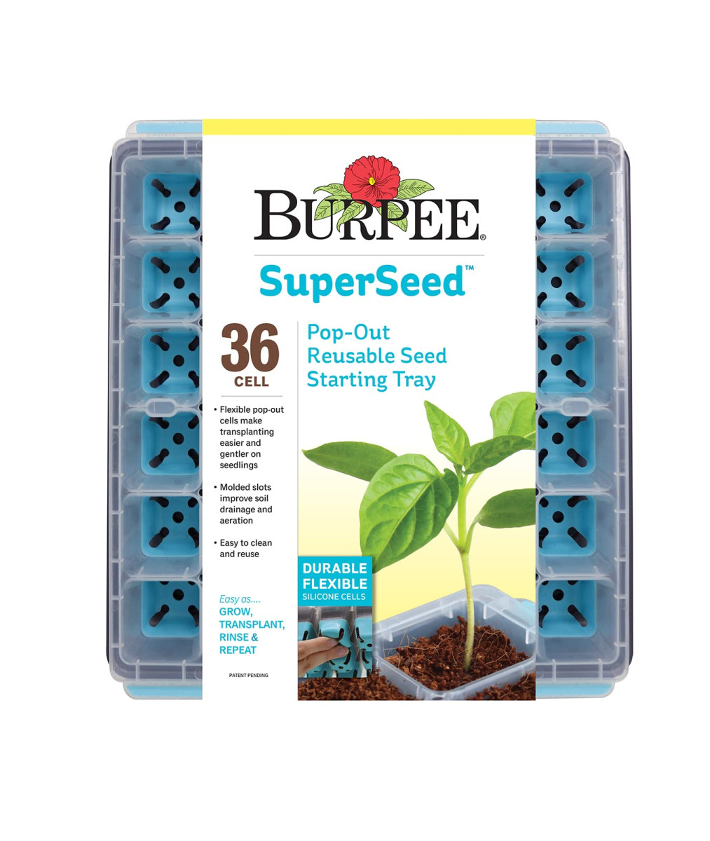 A burpee seed starting tray with 36 pop-out cells, showcasing two young seedlings, featured on a clear plastic casing with product details.