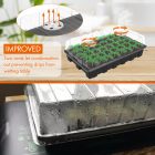 Illustration of an improved seedling tray with two vents, shown above a photo of the actual condensation-covered tray on a table.
