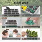 Instructional collage on setting up a plant growing kit, showing steps from filling trays with soil to transplanting seedlings, with images of children observing plant growth.